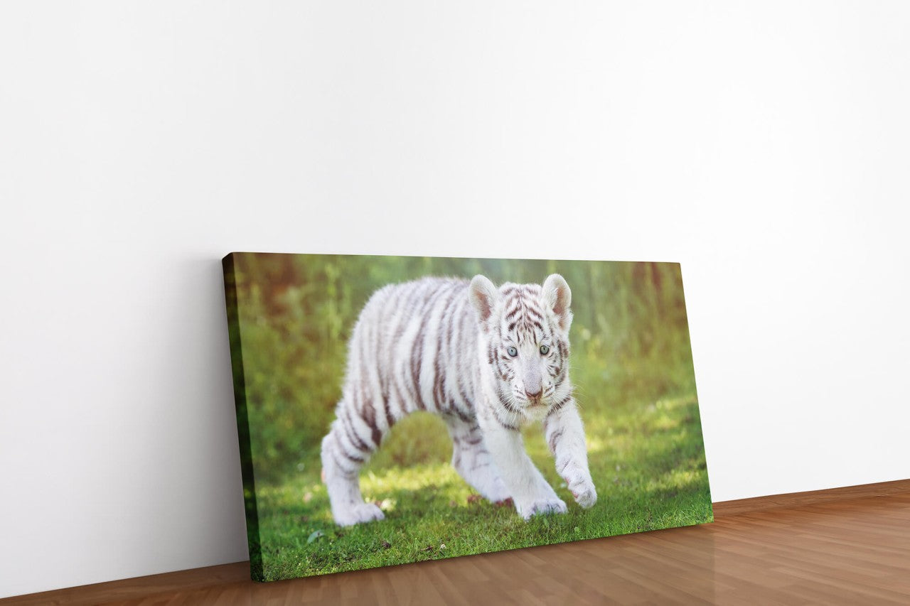shutterstock_483519412uYxnmS0KqxX9Z_1280x1280.jpg