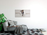 shutterstock_496624039ZBNVdBV4dgrPw_1280x1280.jpg