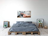 shutterstock_5074565508bKPWdegKJc8M_1280x1280.jpg
