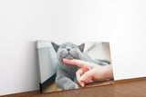 shutterstock_507456550CRFfUnhTilNni_1280x1280.jpg