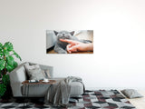 shutterstock_507456550iII8gYNOUp2Nm_1280x1280.jpg