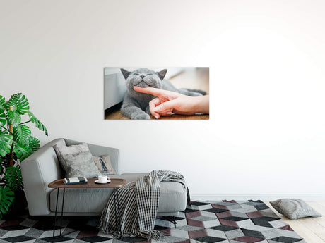 shutterstock_507456550iII8gYNOUp2Nm_1280x1280.jpg
