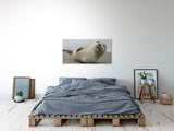 shutterstock_523097605Wov1ATPQmmRzl_1280x1280.jpg