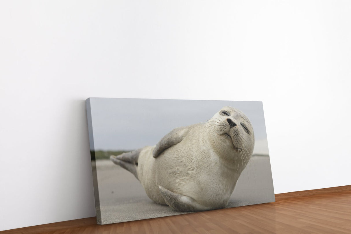 shutterstock_523097605rbuxoxKsmmmqS_1280x1280.jpg