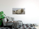 shutterstock_523097605yC1vm89zsLJMY_1280x1280.jpg