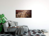 shutterstock_523265227xHej4Jma4Ukcc_1280x1280.jpg