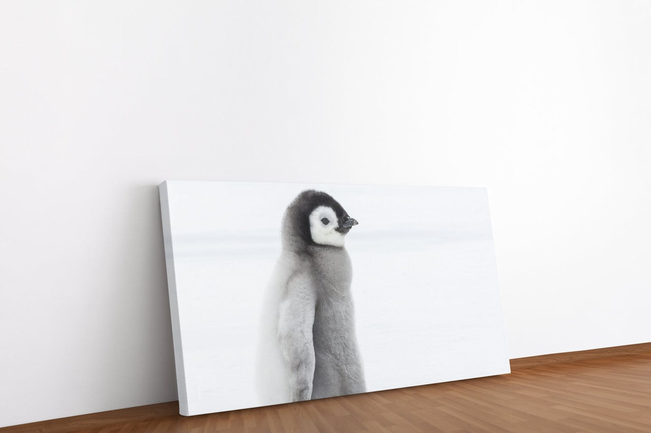 shutterstock_5257135005XLNUBDe8cJ4l_1280x1280.jpg