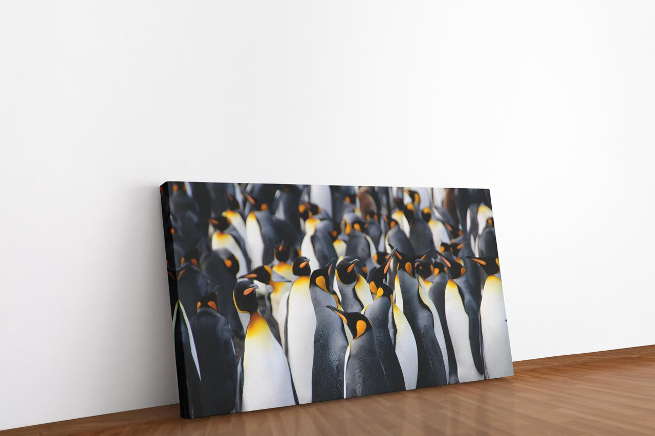shutterstock_535129276gXsXrcSoFZtai_1280x1280.jpg