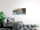 shutterstock_5368969129paWwCCjQf2wZ_1280x1280.jpg