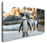 shutterstock_536896912L3bzwJcNFotSi_1280x1280.jpg