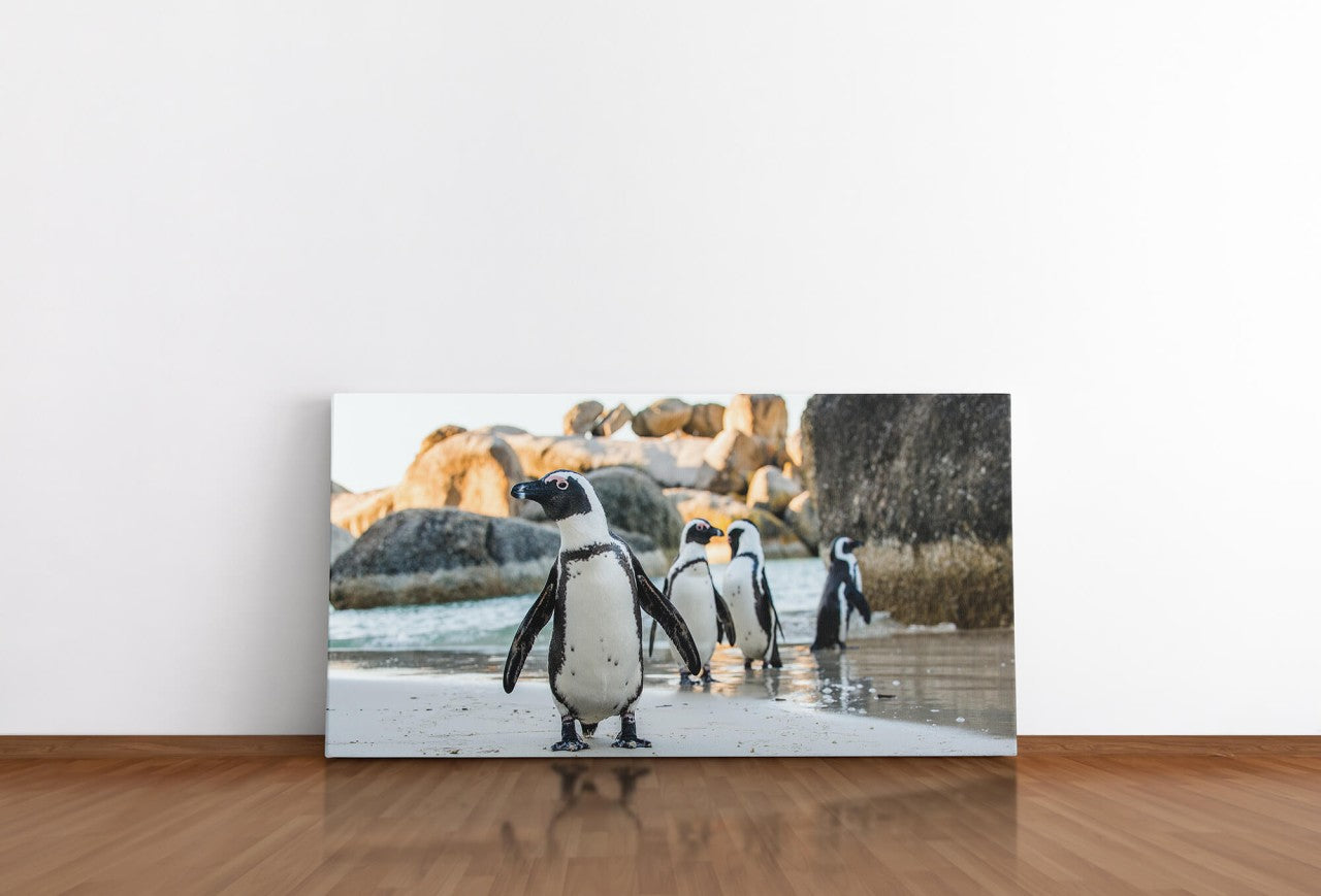 shutterstock_536896912UXaIhuulqs9Ww_1280x1280.jpg