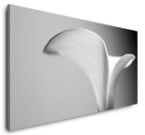 shutterstock_538569317TuB7m9MRo0ys_1280x1280.jpg