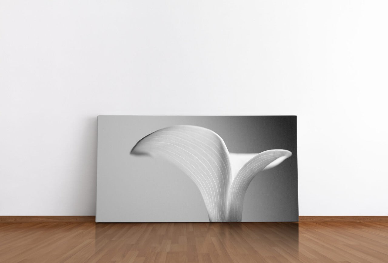 shutterstock_538569319zUKW2NcLzQEW_1280x1280.jpg
