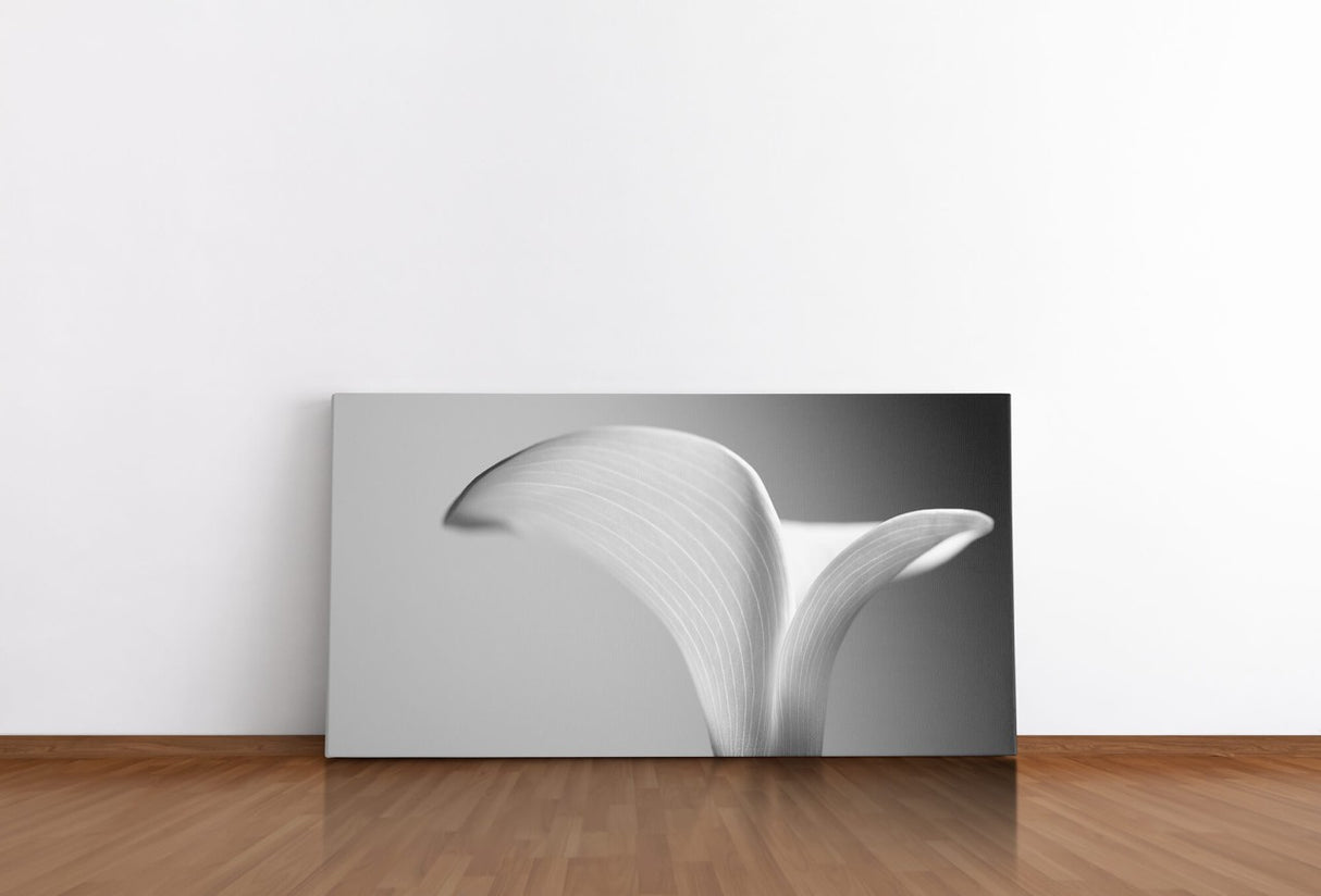 shutterstock_538569319zUKW2NcLzQEW_1280x1280.jpg