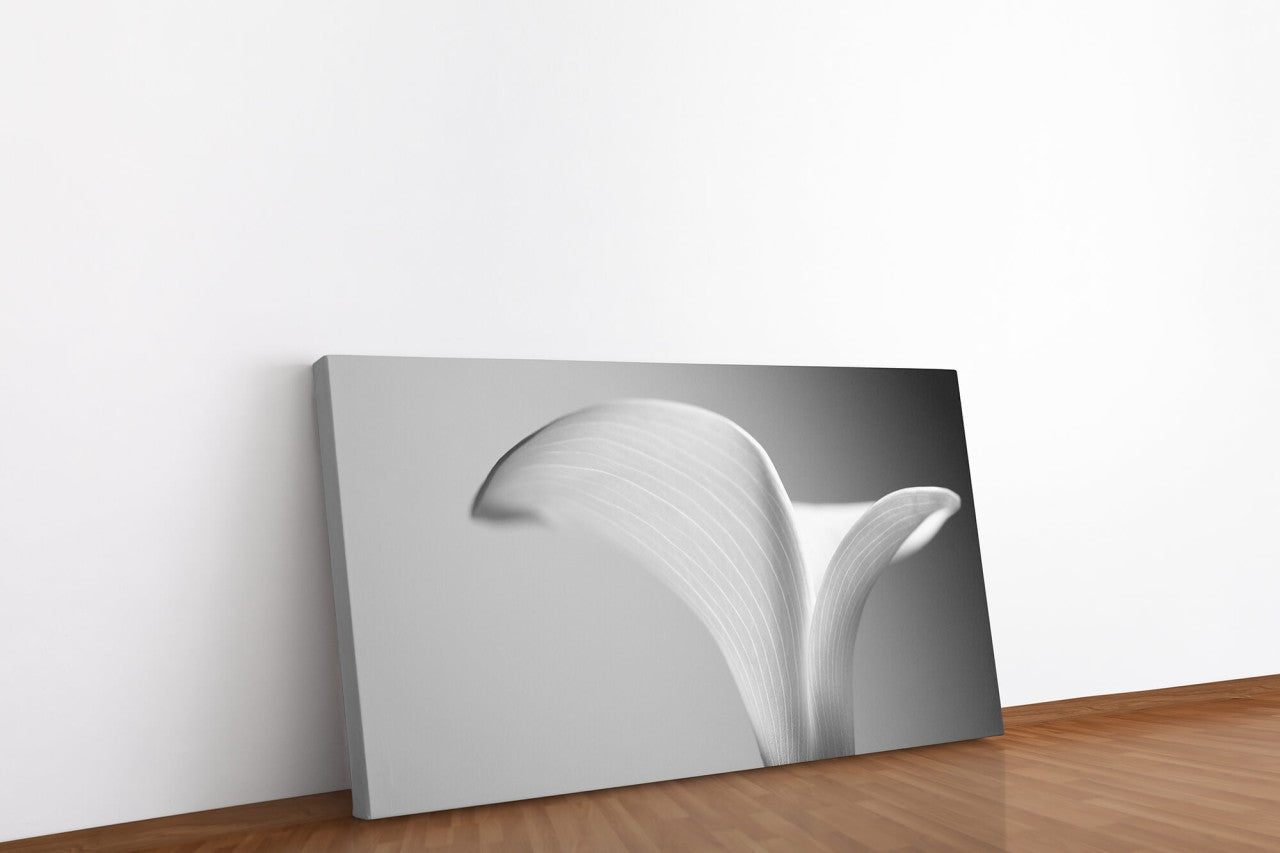 shutterstock_53856931Leg1uo9CsIR7y_1280x1280.jpg