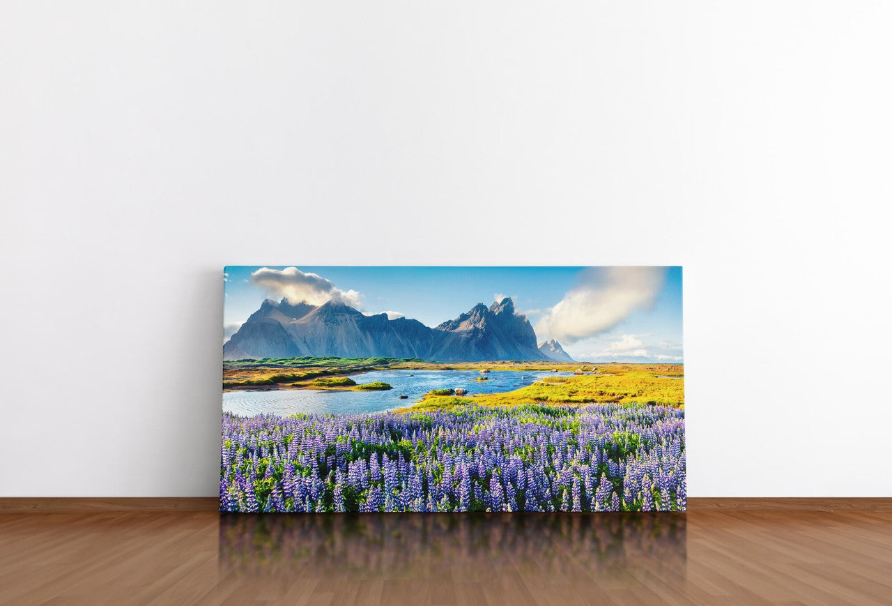 shutterstock_539875846tU8QlgVwwdZeG_1280x1280.jpg