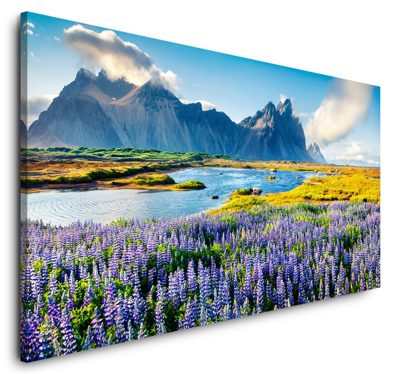 shutterstock_539875846xQq0g3ndAt8uL_1280x1280.jpg