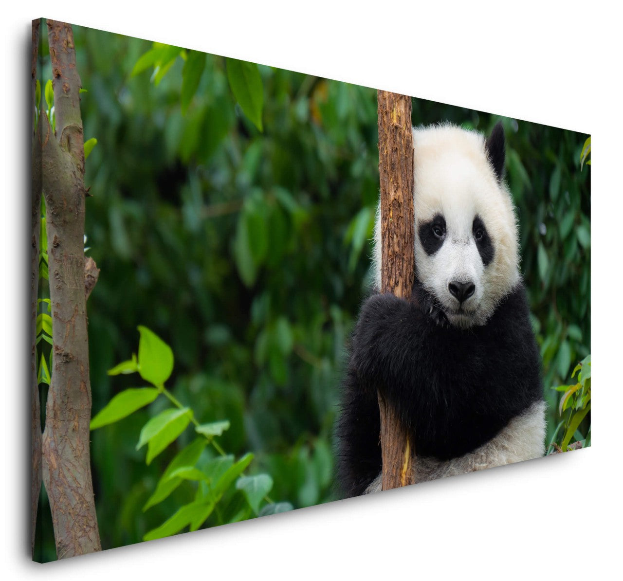 shutterstock_54322639977hiFe4d5TRGg_1280x1280.jpg
