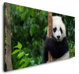shutterstock_54322639977hiFe4d5TRGg_1280x1280.jpg