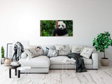 shutterstock_543226399EMzzX7iTs4ijH_1280x1280.jpg