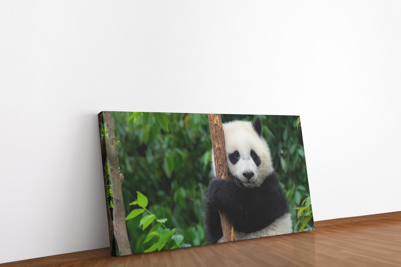shutterstock_543226399QV76oezHAJUTt_1280x1280.jpg