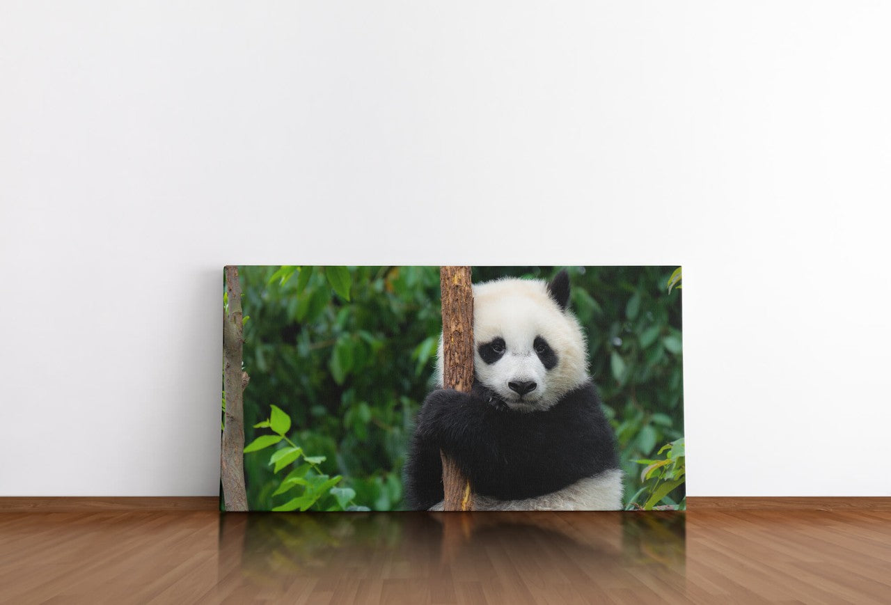 shutterstock_543226399zNd2XCqo1NPMe_1280x1280.jpg