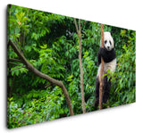shutterstock_543226405GQBOdnI1mikVn_1280x1280.jpg