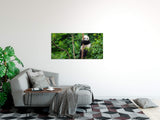 shutterstock_543226405xRE8q0WXOdsH7_1280x1280.jpg