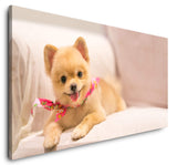 shutterstock_547443472CR0RK0OKaLYR3_1280x1280.jpg