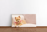 shutterstock_547443472ZWjdc5LsfhUby_1280x1280.jpg