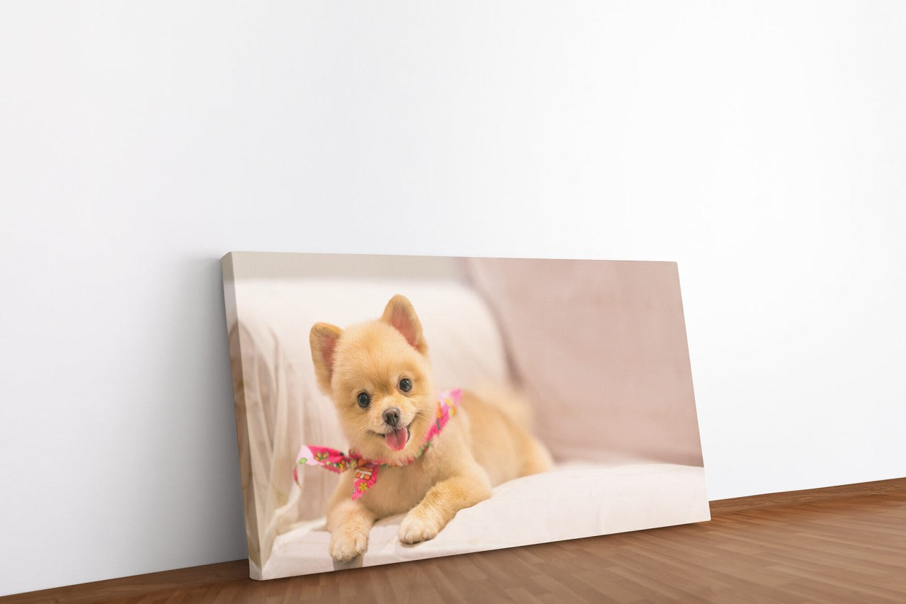 shutterstock_547443472aDCK2Yf9EnHlC_1280x1280.jpg