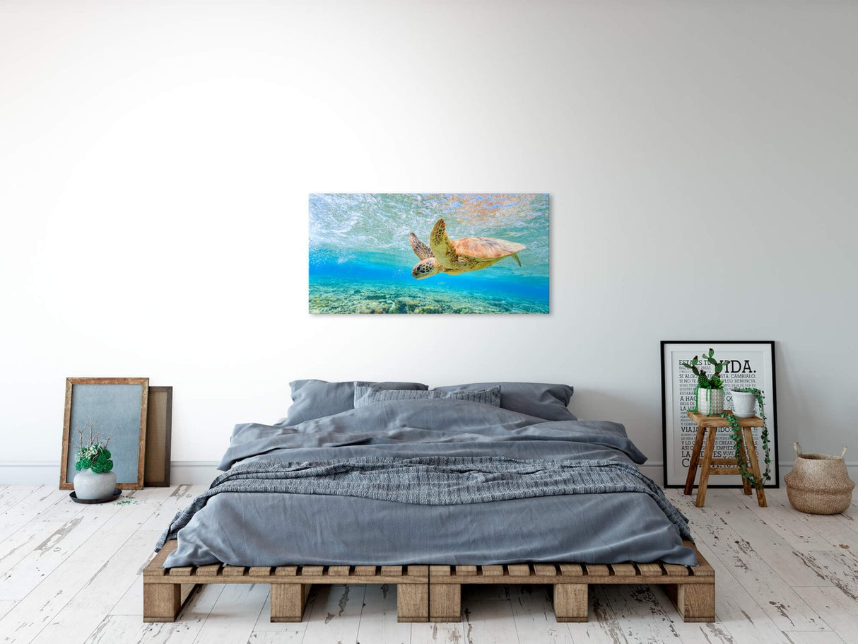 shutterstock_549545044g3aYidUoPnimB_1280x1280.jpg