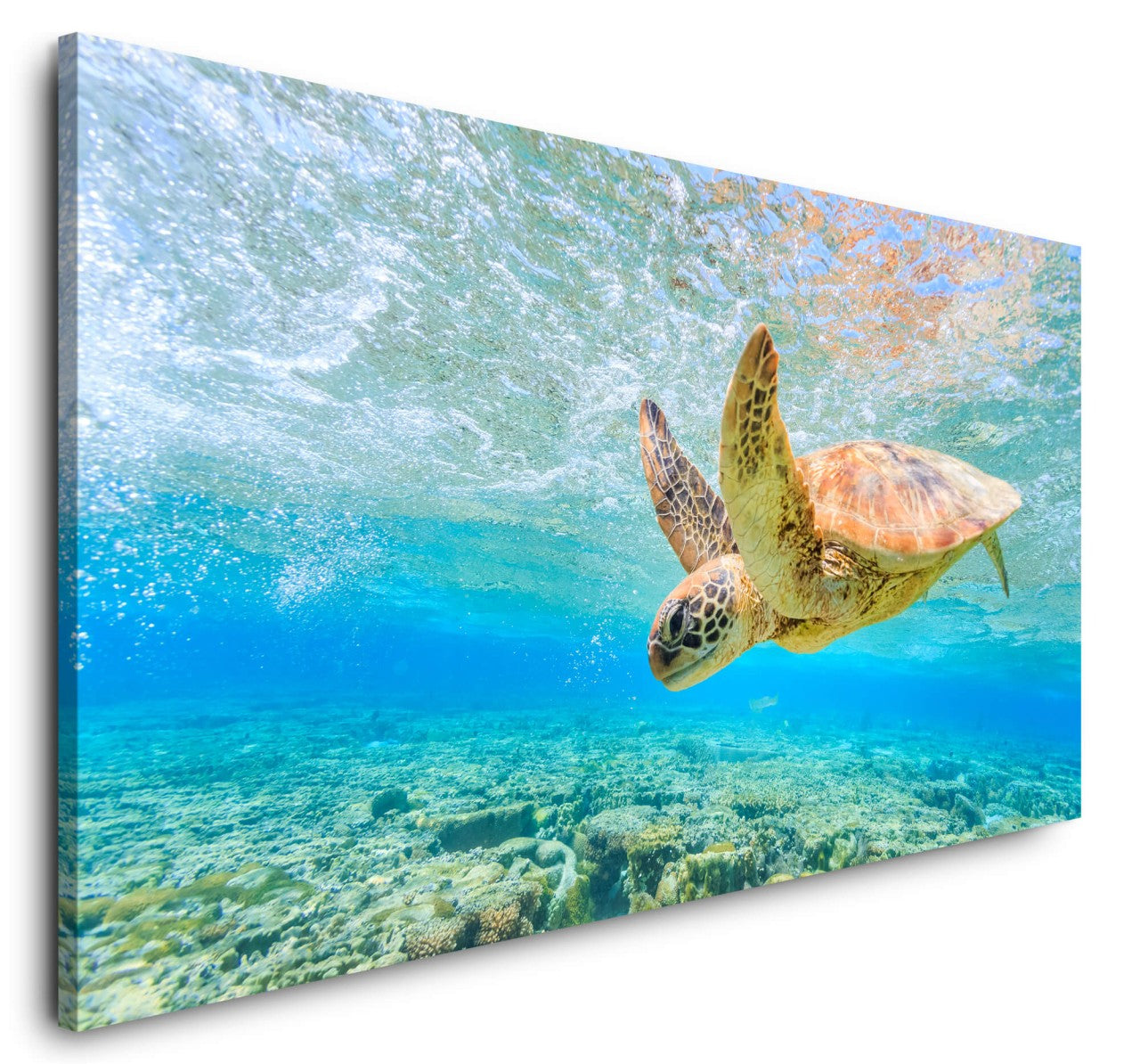 shutterstock_549545044kGRI1FSpYheT7_1280x1280.jpg