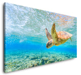 shutterstock_549545044kGRI1FSpYheT7_1280x1280.jpg