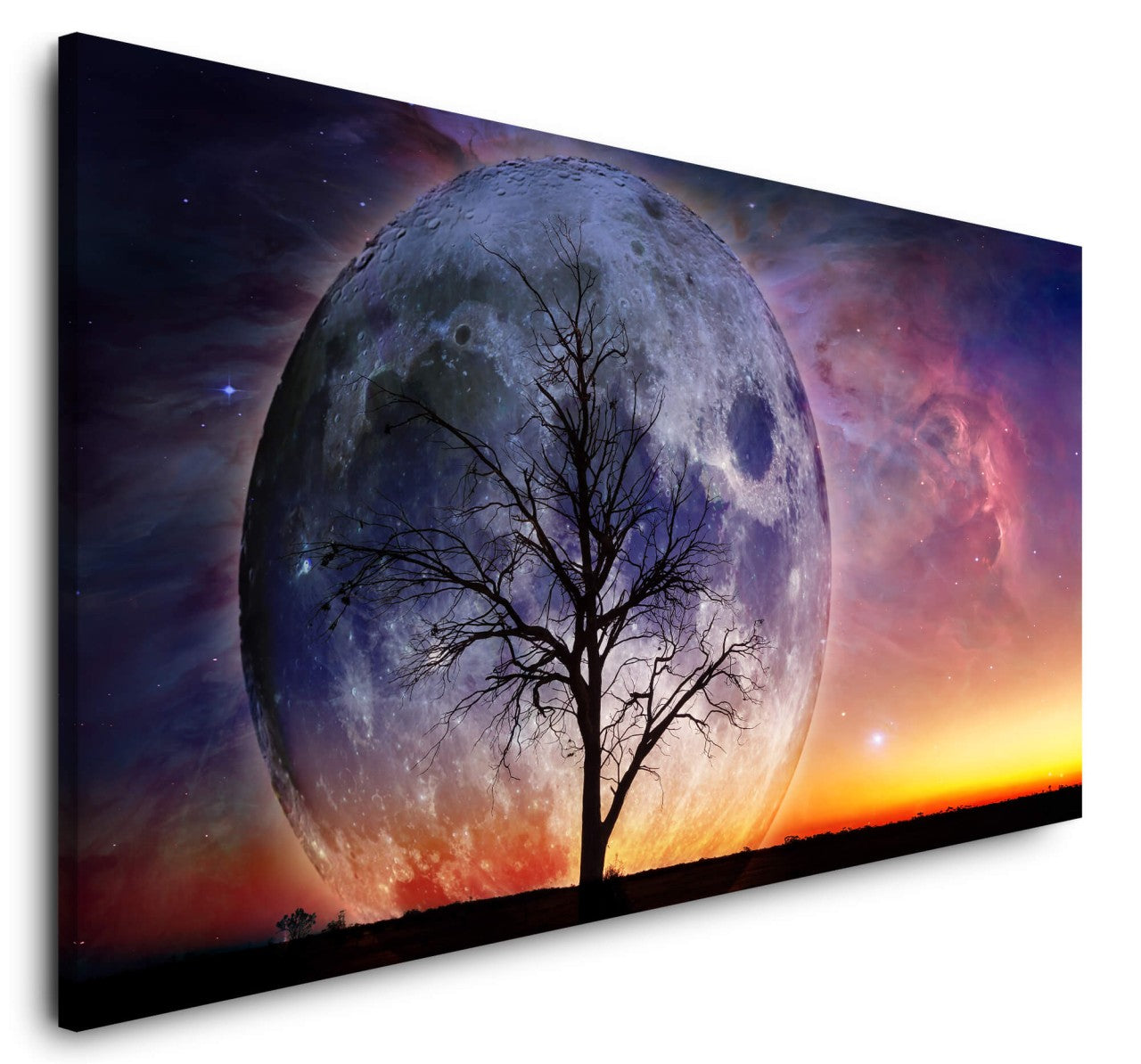 shutterstock_554120659e4IyI0fXjvM9c_1280x1280.jpg