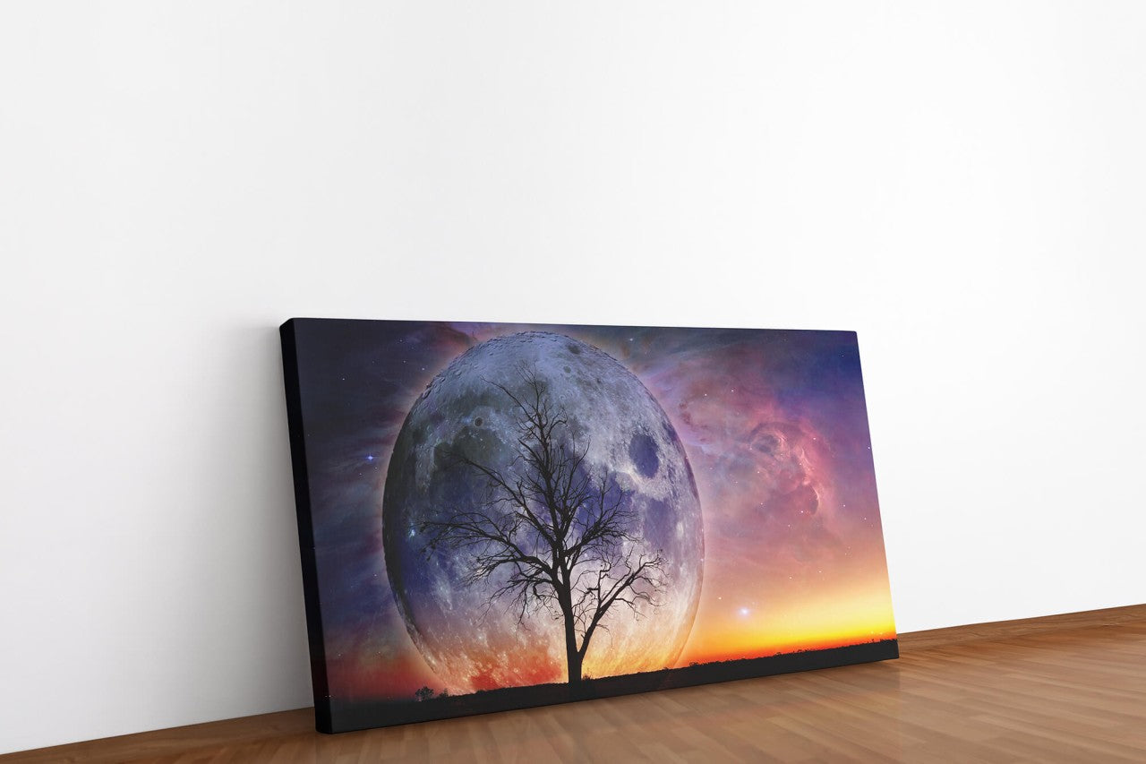 shutterstock_554120659v1wcSA6vrc8vy_1280x1280.jpg