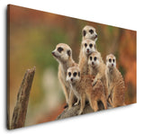 shutterstock_564772696YYcxHJyISs8Of_1280x1280.jpg