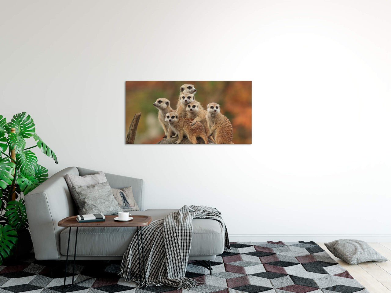shutterstock_564772696ugNIw4Hj0XSAF_1280x1280.jpg