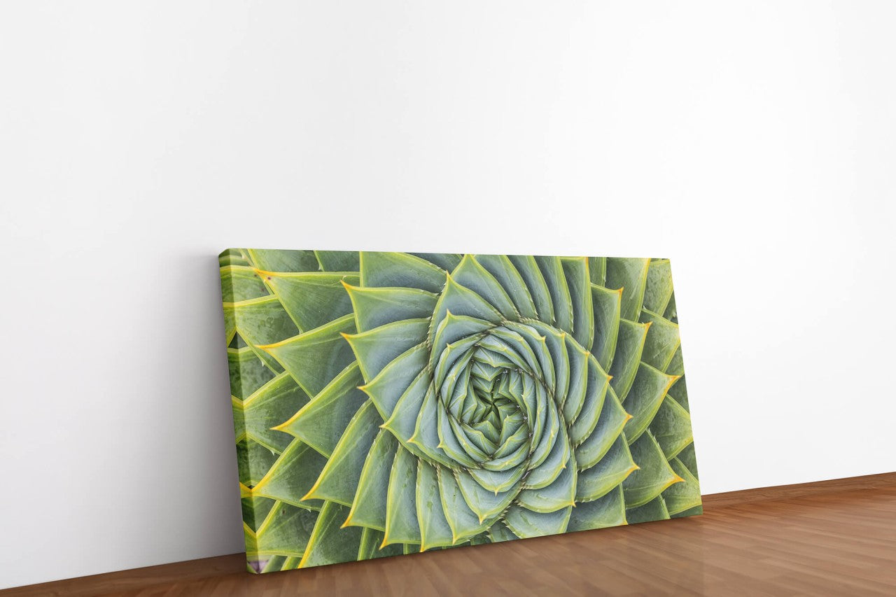 shutterstock_567985732VHKeZ0GXGkJYj_1280x1280.jpg