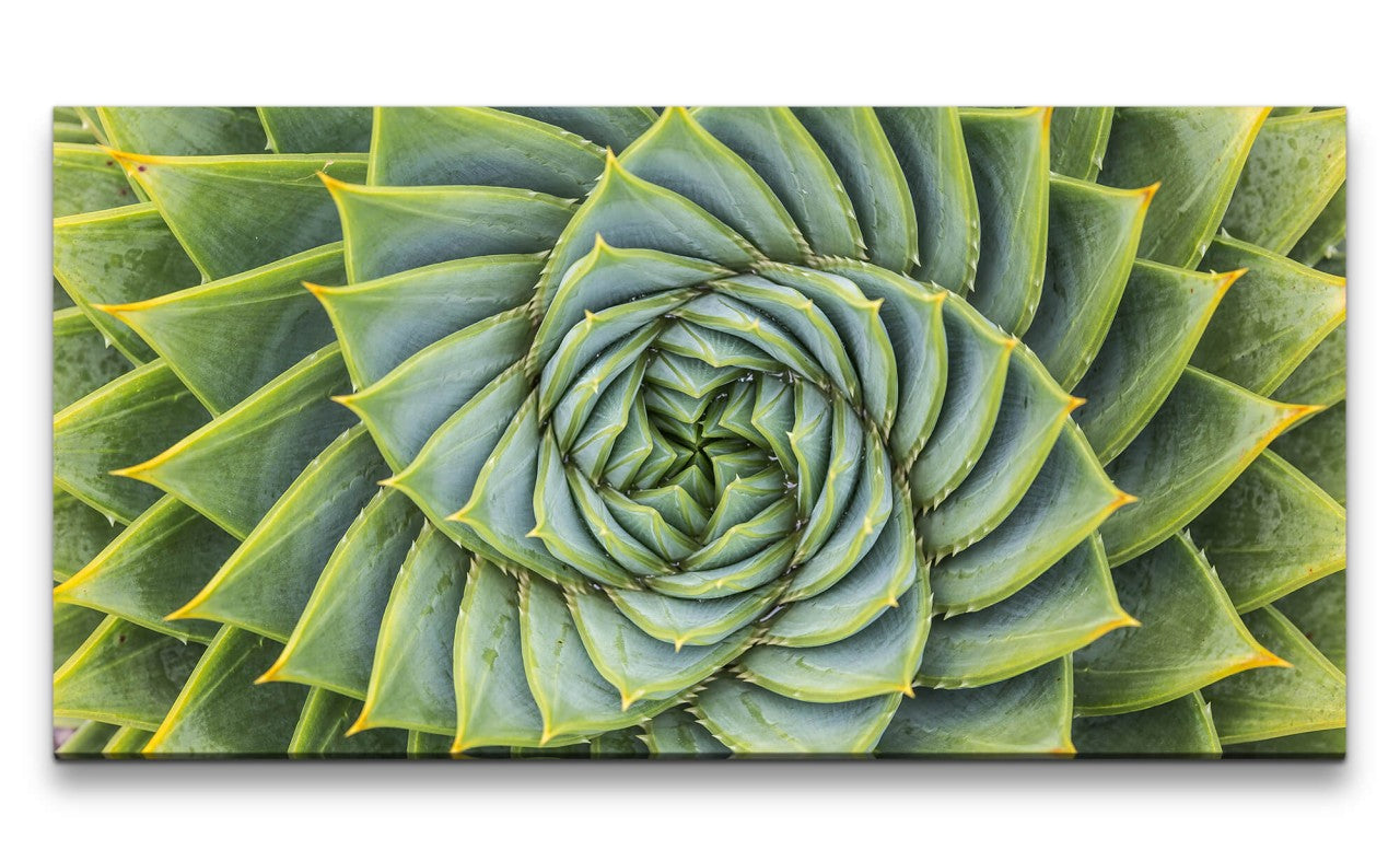 shutterstock_567985732_1280x1280.jpg