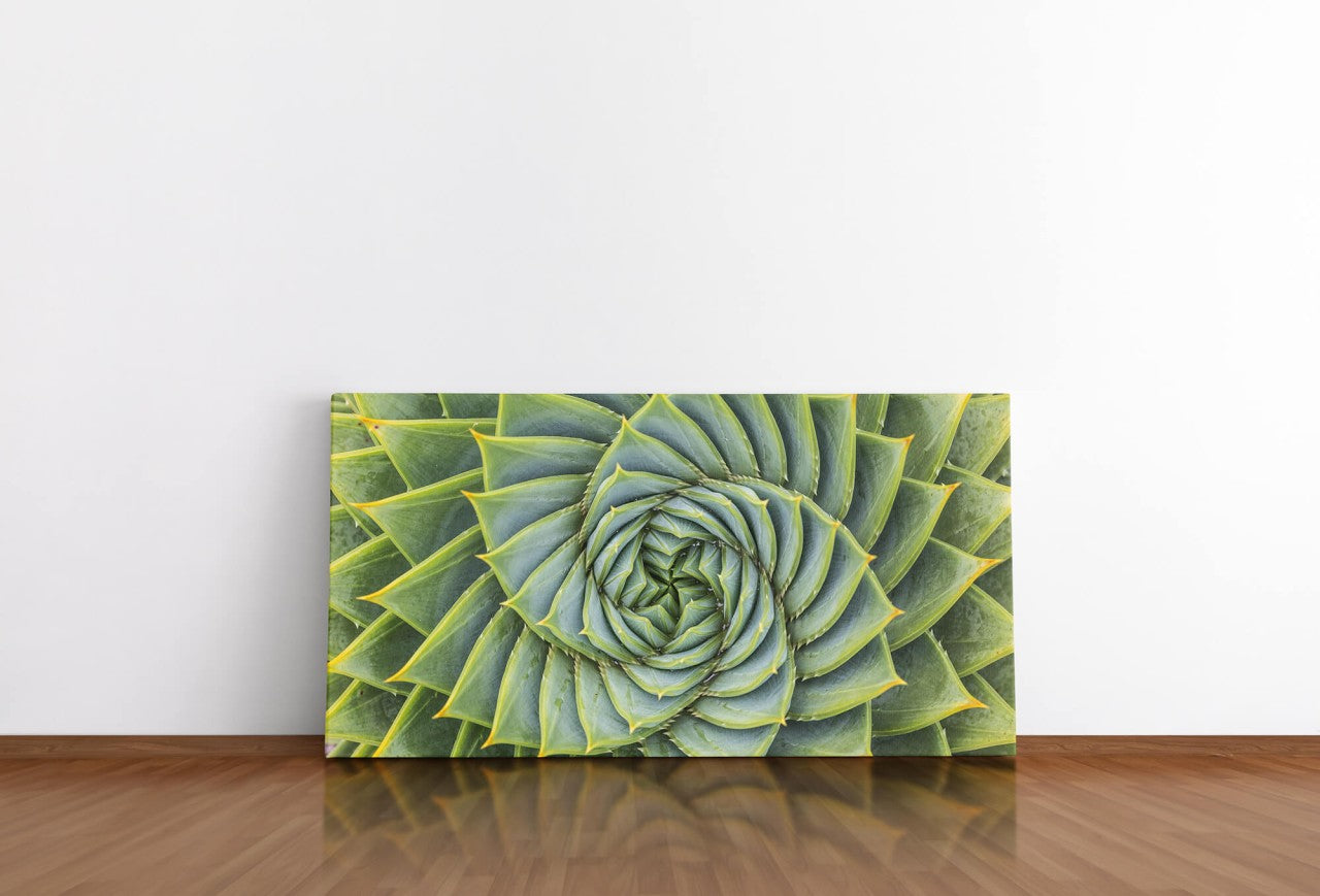 shutterstock_567985732m6ozRzfY9ehU5_1280x1280.jpg