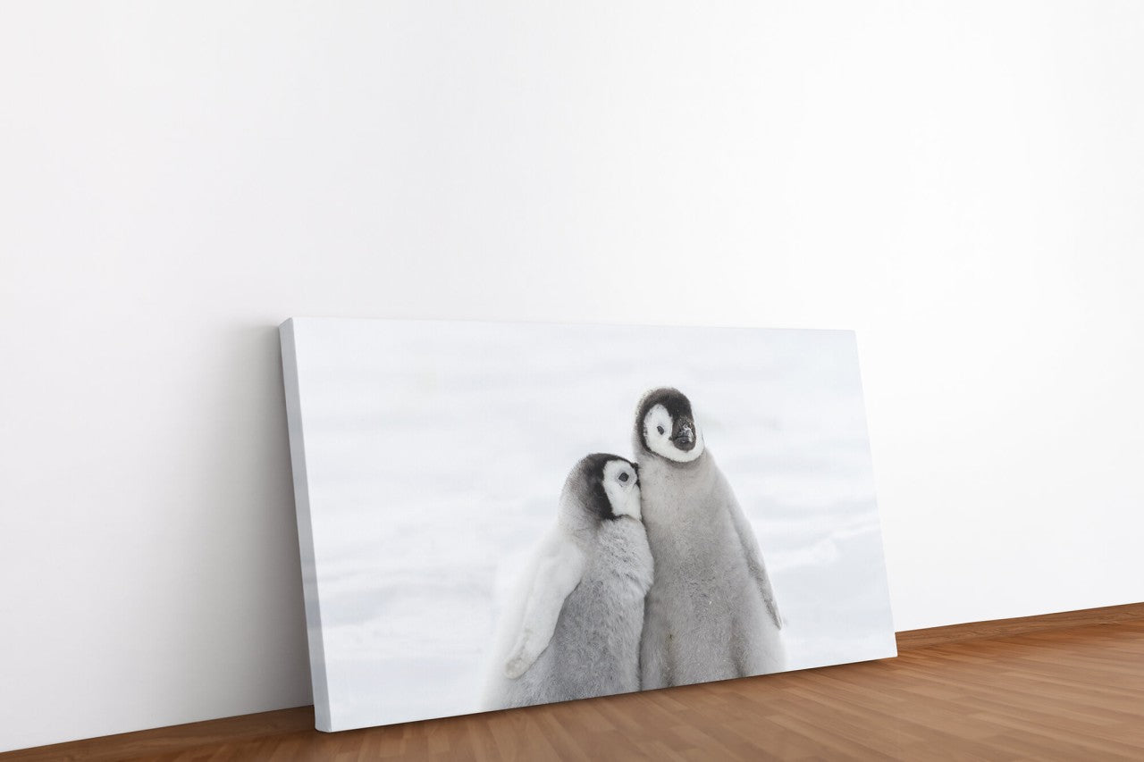 shutterstock_568266433ajgbSqCCtzoVx_1280x1280.jpg