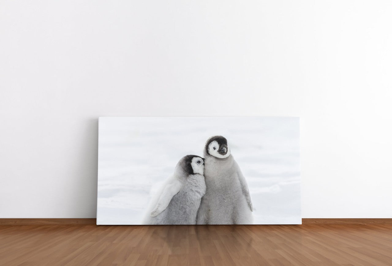 shutterstock_568266433k4kRHCyfNzrRB_1280x1280.jpg