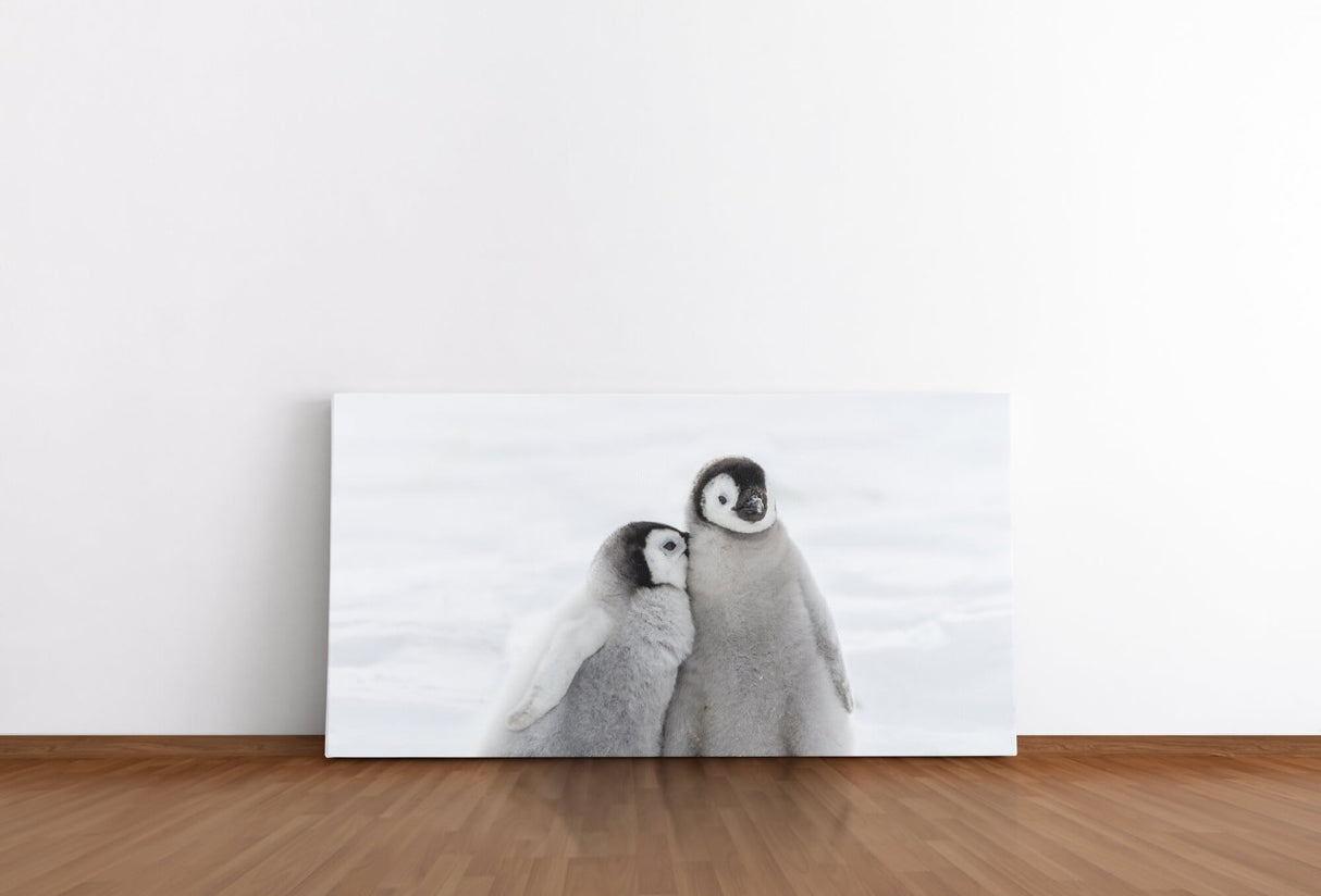 shutterstock_568266433k4kRHCyfNzrRB_1280x1280.jpg