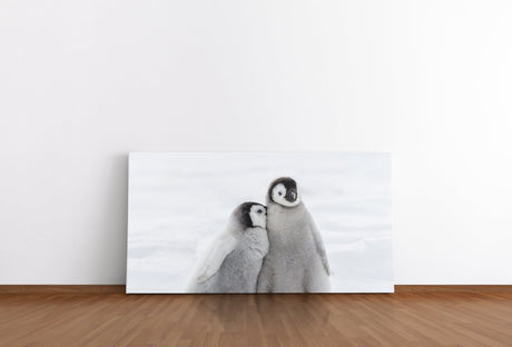 shutterstock_568266433k4kRHCyfNzrRB_1280x1280.jpg