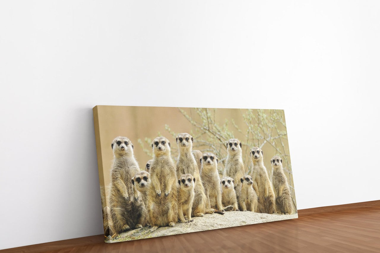 shutterstock_568332106iBgKG7GzhyIT_1280x1280.jpg