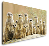 shutterstock_56833210WwKQR4BBRRi87_1280x1280.jpg