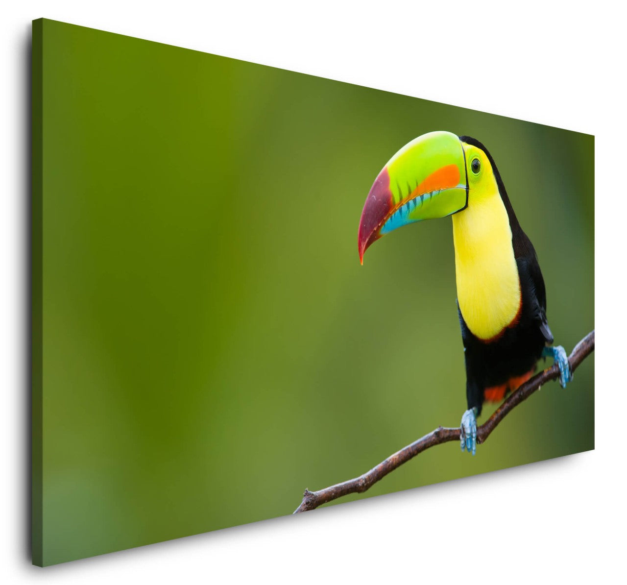 shutterstock_57453022HBUBOF9PBXFxI_1280x1280.jpg