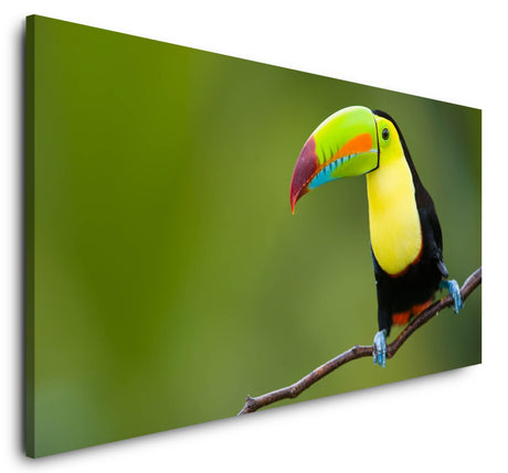 shutterstock_57453022HBUBOF9PBXFxI_1280x1280.jpg