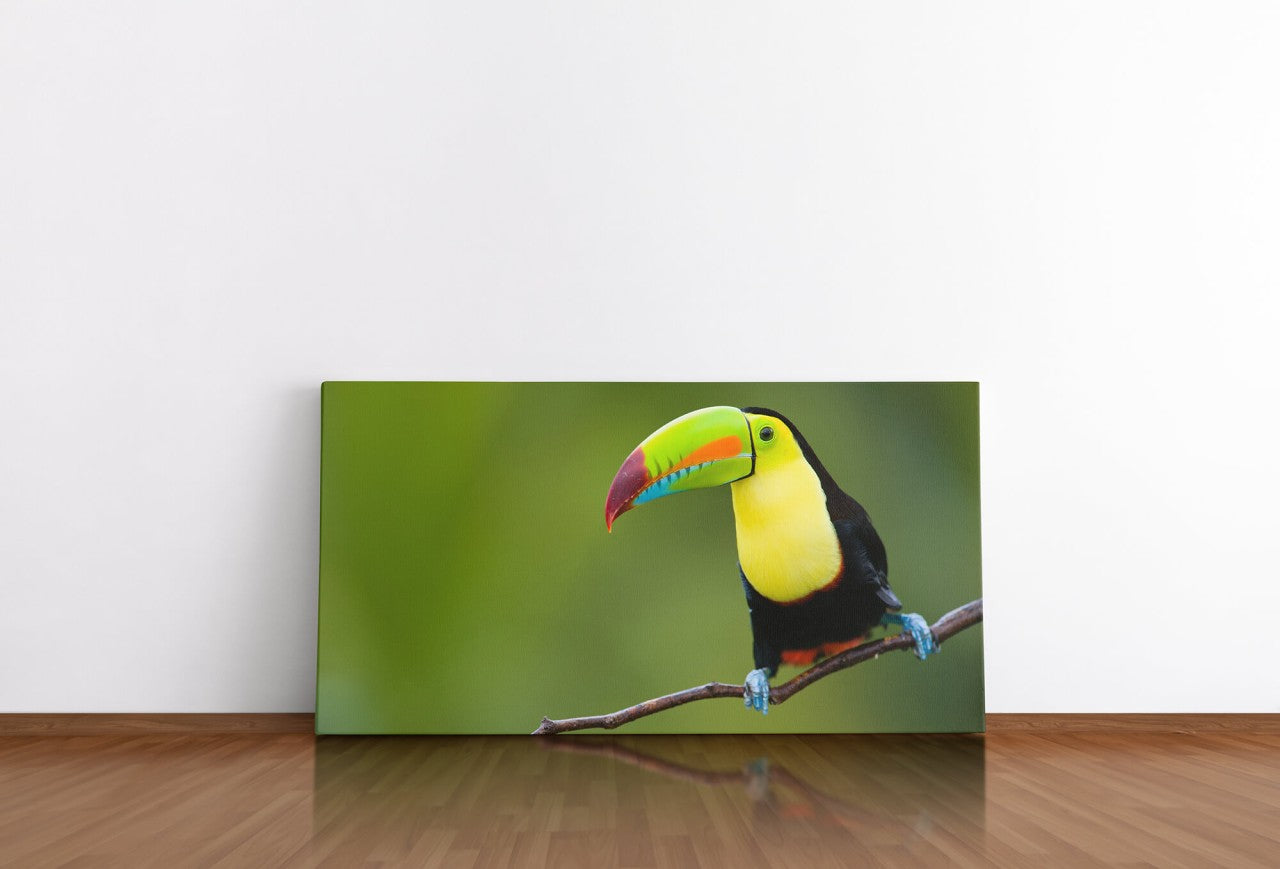 shutterstock_57453022YEQex9PNH5JH1_1280x1280.jpg
